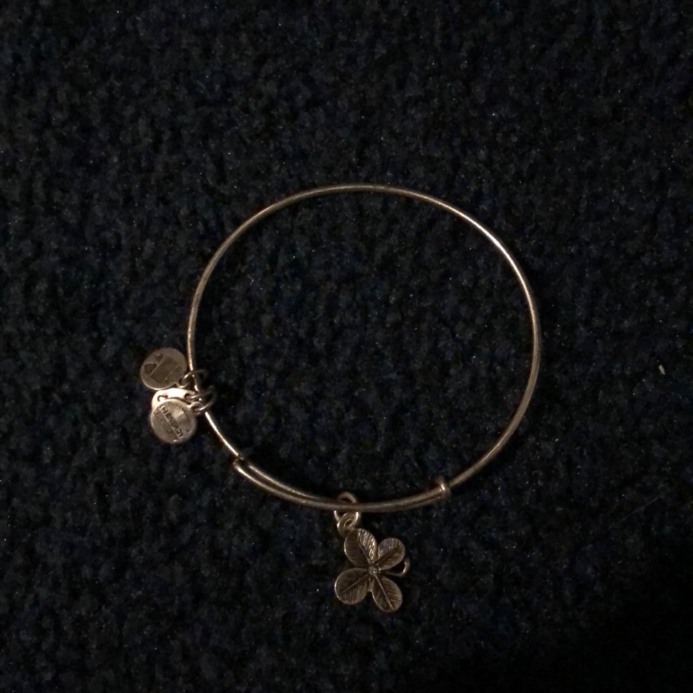Shamrock Alex and ani